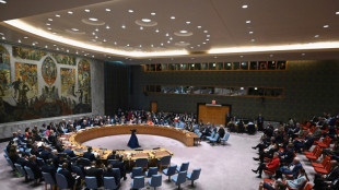 UN-Sicherheitsrat fordert "humanit&auml;re Pausen" f&uuml;r Gazastreifen