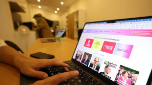 Cyberattaque sur la primaire sociale-d&eacute;mocrate: seulement 20.000 votants &agrave; 19H00 