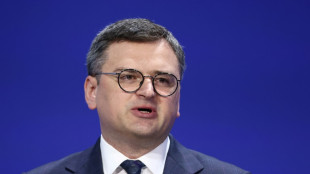 Ukrainischer Minister warnt Berlin vor Blockade von Nato-Beitritt seines Landes 