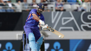 Indian cricketer Pant injured in car crash 