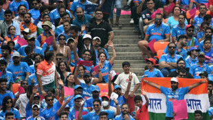 Sea of blue as fans march to India-Pakistan World Cup clash 
