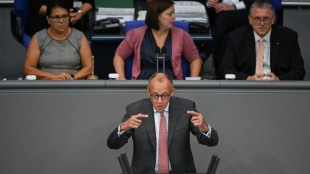Merz kritisiert Regierung f&uuml;r zu geringen Verteidigungsetat
