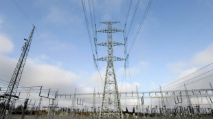 Behörden: Keine Hinweise auf Strommarktmissbrauch während Dunkelflauten 
