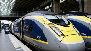 De nombreux Eurostar annul&eacute;s en raison d'une inondation des voies pr&egrave;s de Londres