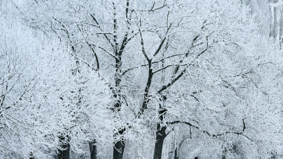 Winterwetter mit Schnee und Eis sorgt f&uuml;r Flugausf&auml;lle und Verkehrsunf&auml;lle