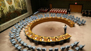 F&uuml;nf neue Mitglieder in UN-Sicherheitsrat gew&auml;hlt
