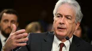 Biden beruft CIA-Chef Burns in sein Kabinett
