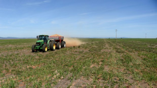 Anstieg der Erzeugerpreise f&uuml;r landwirtschaftliche Produkte ebbt weiter ab