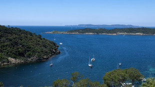 A Port-Cros, la plus vieille aire marine protégée d'Europe "montre le futur"