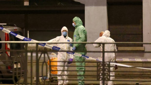 Two Swedes killed in Brussels shooting