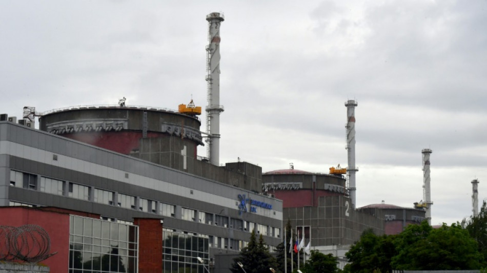 Grossi: IAEA macht "Fortschritte" bei Inspektion von Akw Saporischschja