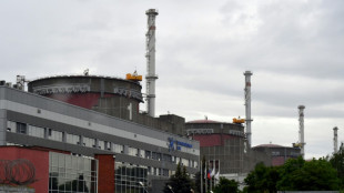 Grossi: IAEA macht "Fortschritte" bei Inspektion von Akw Saporischschja