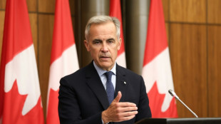 Canadá anuncia intención de reconocer el Estado palestino en septiembre