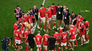 Wales rue ill-discipline in 'devastating' defeat by Argentina