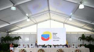 Dissidentes das Farc anunciam cessar-fogo 'unilateral' ap&oacute;s di&aacute;logo com governo colombiano