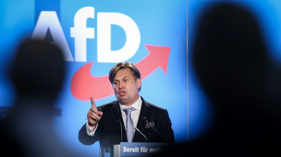 AfD setzt Aufstellung von Kandidatenliste f&uuml;r Europawahl fort