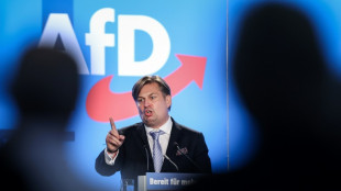 AfD setzt Europawahlversammlung in Magdeburg fort