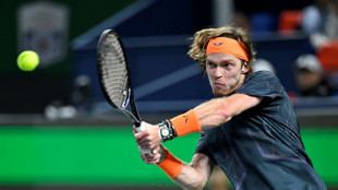 'Ugly' Rublev downs Dimitrov to set up Shanghai final with Hurkacz