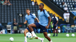 Frank urges 'real' Spurs fans to back Tel after racist abuse