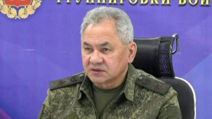 Moskau: Schoigu lobt Einsatz russischer Truppen in der Ukraine