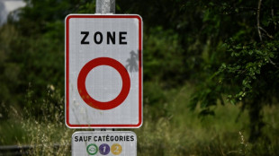 Loi simplification : le Conseil constitutionnel censure la suppression des zones &agrave; faibles &eacute;missions