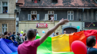 Parlamento de Eslovenia aprueba la enmienda que autoriza el matrimonio y la adopci&oacute;n a parejas del mismo sexo