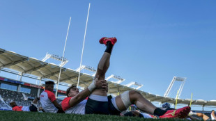 Japan captain Himeno a doubt for World Cup opener