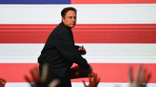 Is Musk's political career descending to Earth?