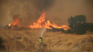 Incendie en Gr&egrave;ce: la situation "s'am&eacute;liore" &agrave; l'ouest d'Ath&egrave;nes