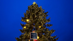 Reisebus f&auml;ngt auf Fahrt zum Weihnachtsmarkt Feuer - Fahrg&auml;ste unverletzt 