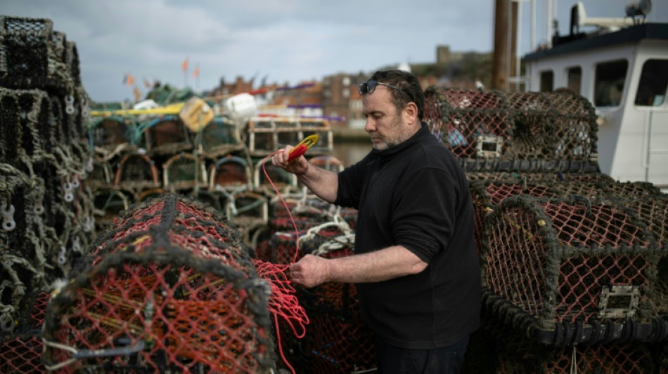 En Angleterre, une &eacute;closerie pour pr&eacute;server l'avenir des homards et des p&ecirc;cheurs
