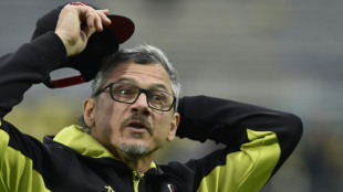 London Irish coach Kiss takes over at Queensland Reds 