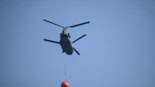 Air support kicks in as record Belgian wildfire jumps in size