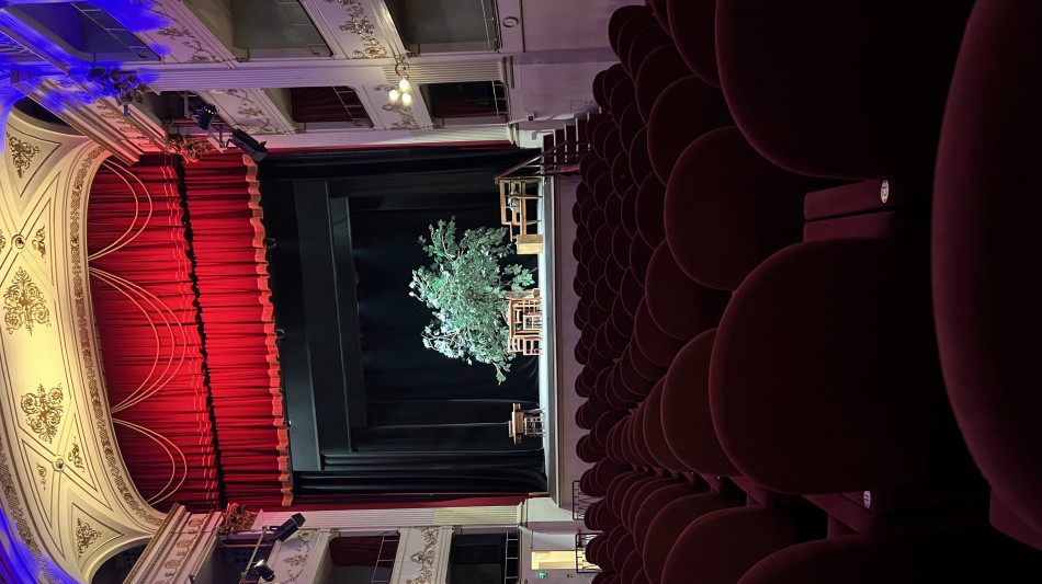 Felder lancia un concorso per artisti al Teatro Niccolini, 'votano i toscani'