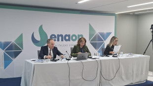 Gallo, 'allo studio l'efficienza energetica anche in Grecia'