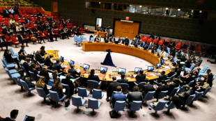 Conselho de Seguran&ccedil;a discute crise territorial entre Venezuela e Guiana
