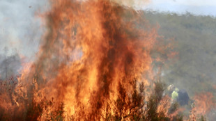 Spagna, morto un uomo per ustioni subite in uno degli incendi