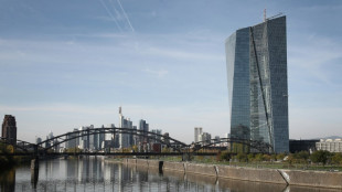 El BCE lanza un ultim&aacute;tum a los bancos para que integren el riesgo clim&aacute;tico