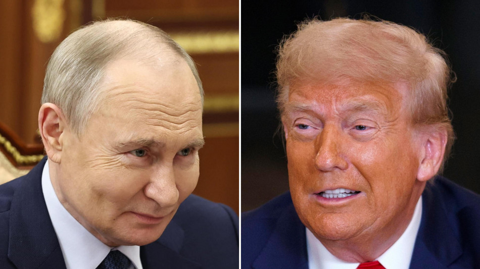 Telegraph, 'Trump offrirà a Putin minerali in cambio della pace'