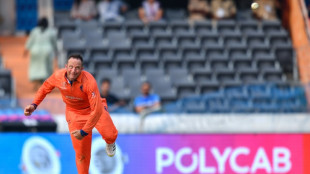 Dutch hope to exploit inside knowledge to stun South Africa again