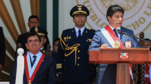 El Congreso de Per&uacute; intenta por tercera vez destituir a Castillo