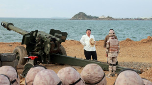 Corea del Norte suministr&oacute; a Rusia 200 piezas de artiller&iacute;a de largo alcance, dice Se&uacute;l
