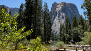 Anwalt: US-Regierung verhandelt mit Immobilienfirma &uuml;ber Verkauf von Land des Yosemite-Parks