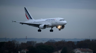 Reaktion auf US-Handelspolitik: Airbus-Chef fordert EU-Zölle auf Boeing-Flugzeuge