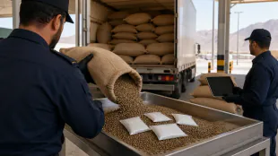 Saudi customs seize 1.95 million amphetamine pills in lentil shipment