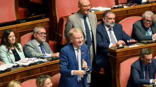 Malan, potrebbe esserci l'esigenza di votare a maggio insieme alle comunali