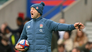 Italy fightback worries England boss Borthwick