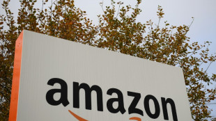 Amazon holiday quarter profit doubles