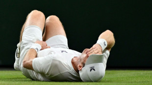 Wimbledon grass courts 'grippy' despite slips, says director