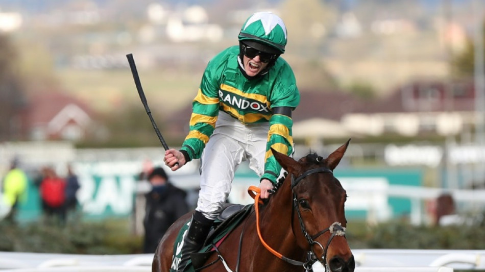 Minella Times, Rachael Blackmore's history making National ride, retires